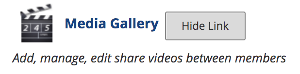 Media Gallery Tool option